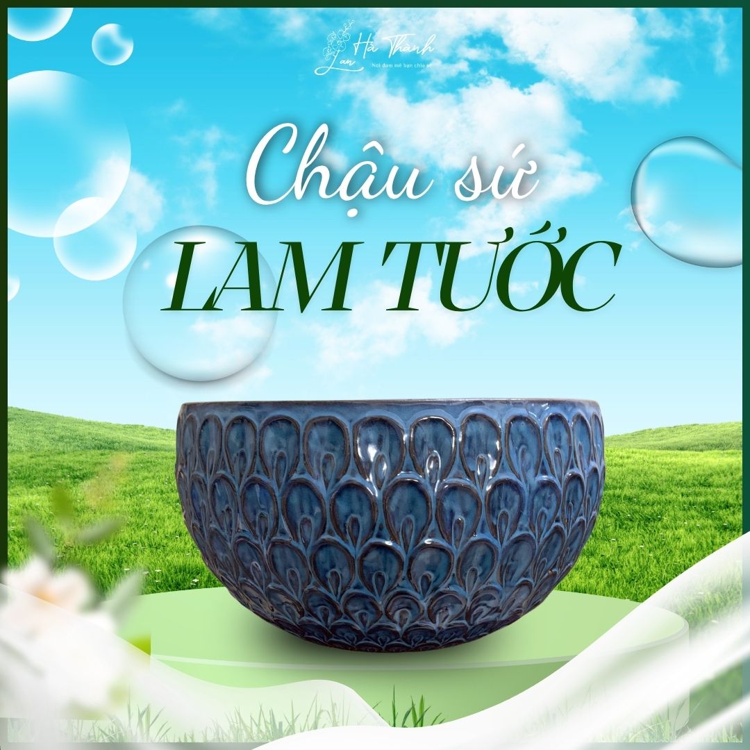 Chậu Sứ Lam Tước